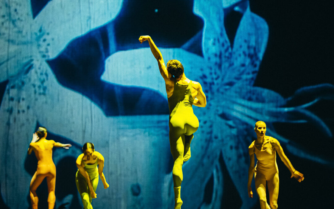 Jan Martens’ overdadig dancespektakel bij NDT 1