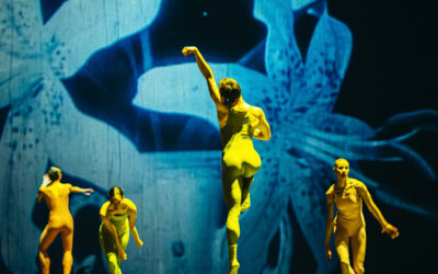 Jan Martens’ overdadig dancespektakel bij NDT 1